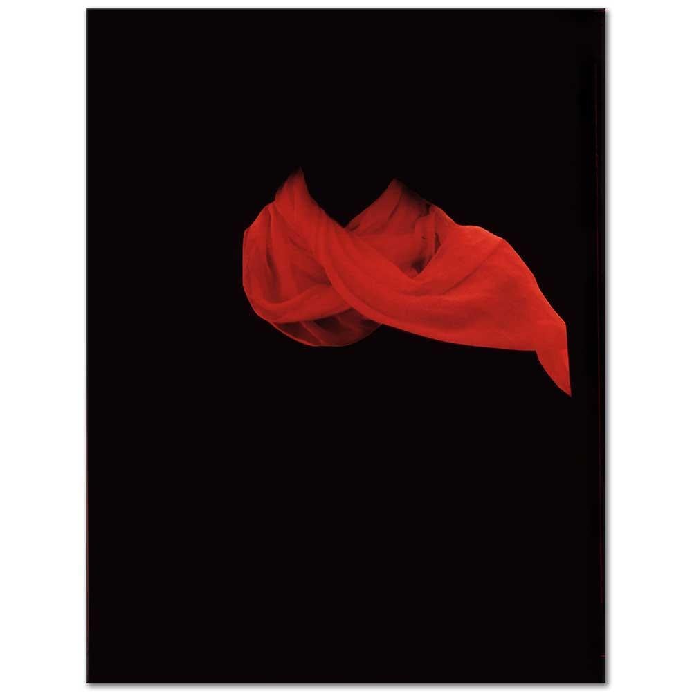 Red Shawl by Sara Charlesworth