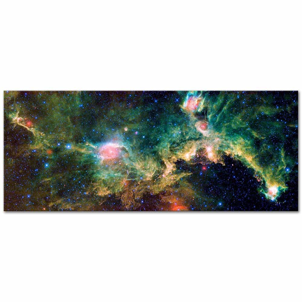 Seagull Nebulası Kanvas Tablo