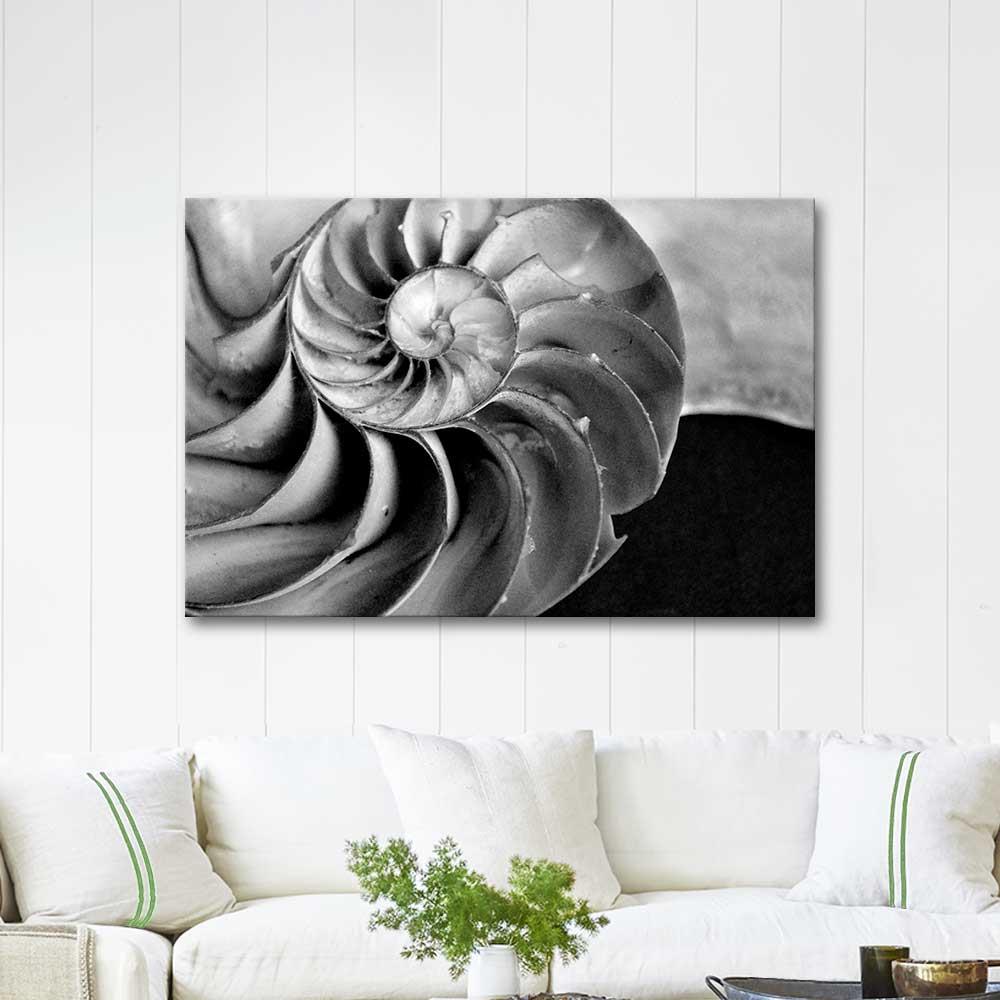 Edward Weston Deniz Kabuğu Kanvas Tablo