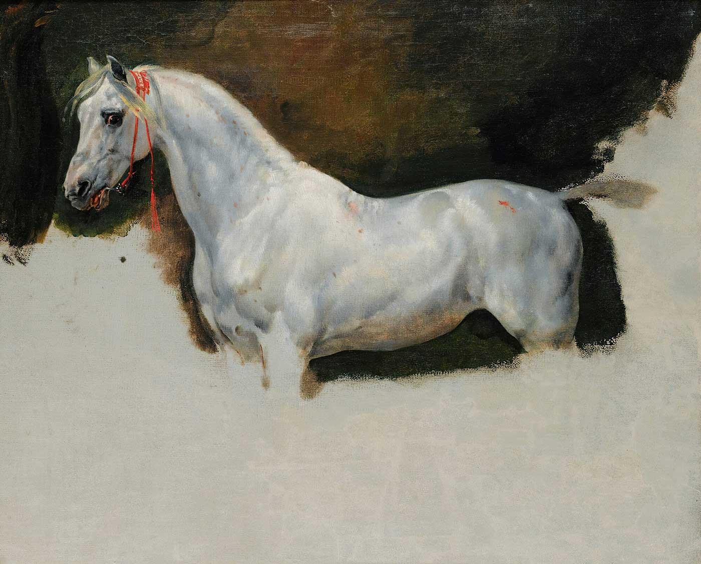 Study of a White Horse by Horace Vernet
