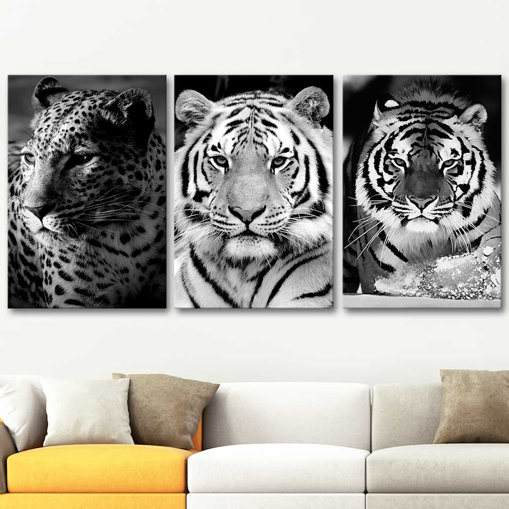 Çarpıcı Kaplanlar 3 Parçalı  Set Kanvas Tablo