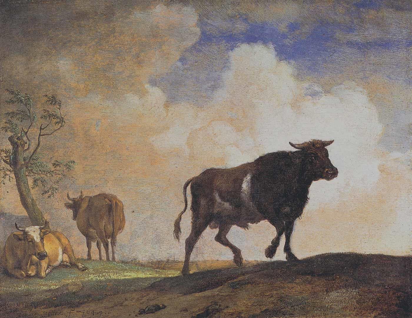 The Bull by Paulus Potter
