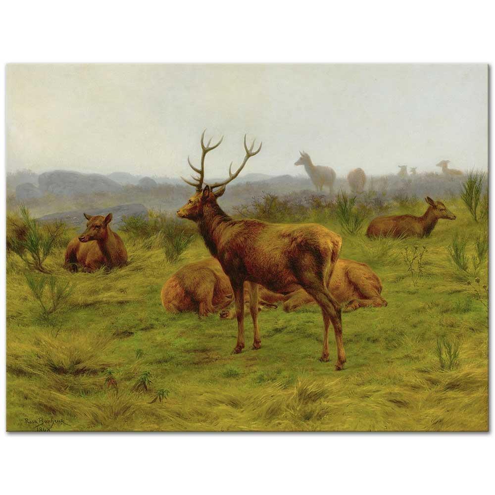 The Monarch of the Herd by Rosa Bonheur as Art Print