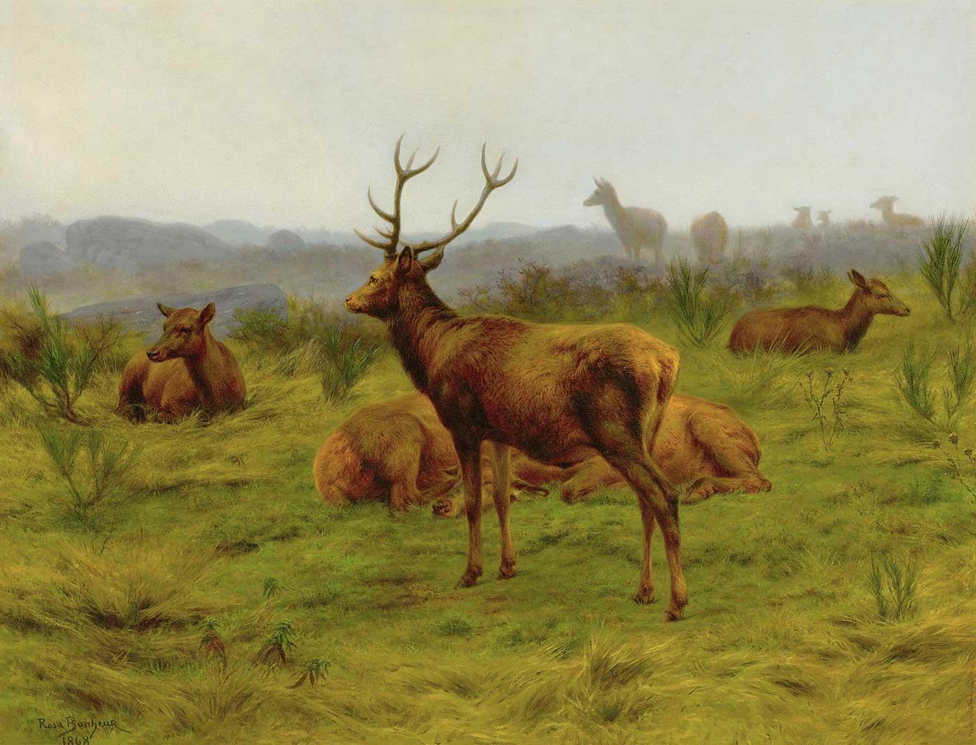 The Monarch of the Herd by Rosa Bonheur