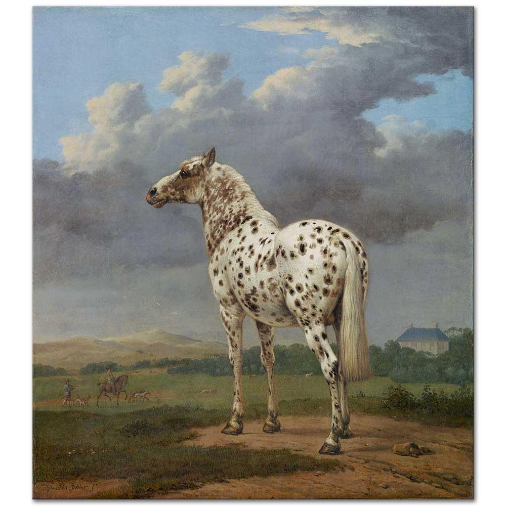 The Piebald Horse by Paulus Potter