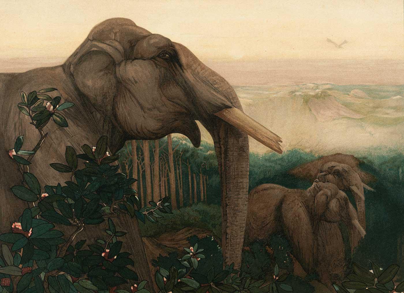 Charles Maurice Detmold Fillerin Çağrısı Kanvas Tablo