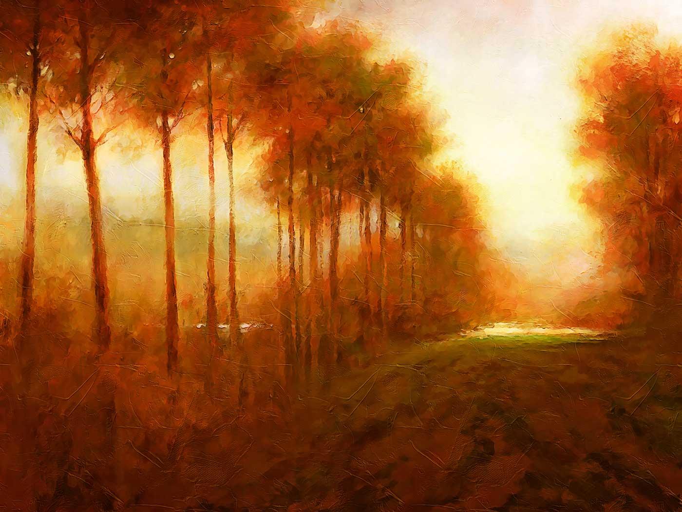Trees in Autumn as Art Print