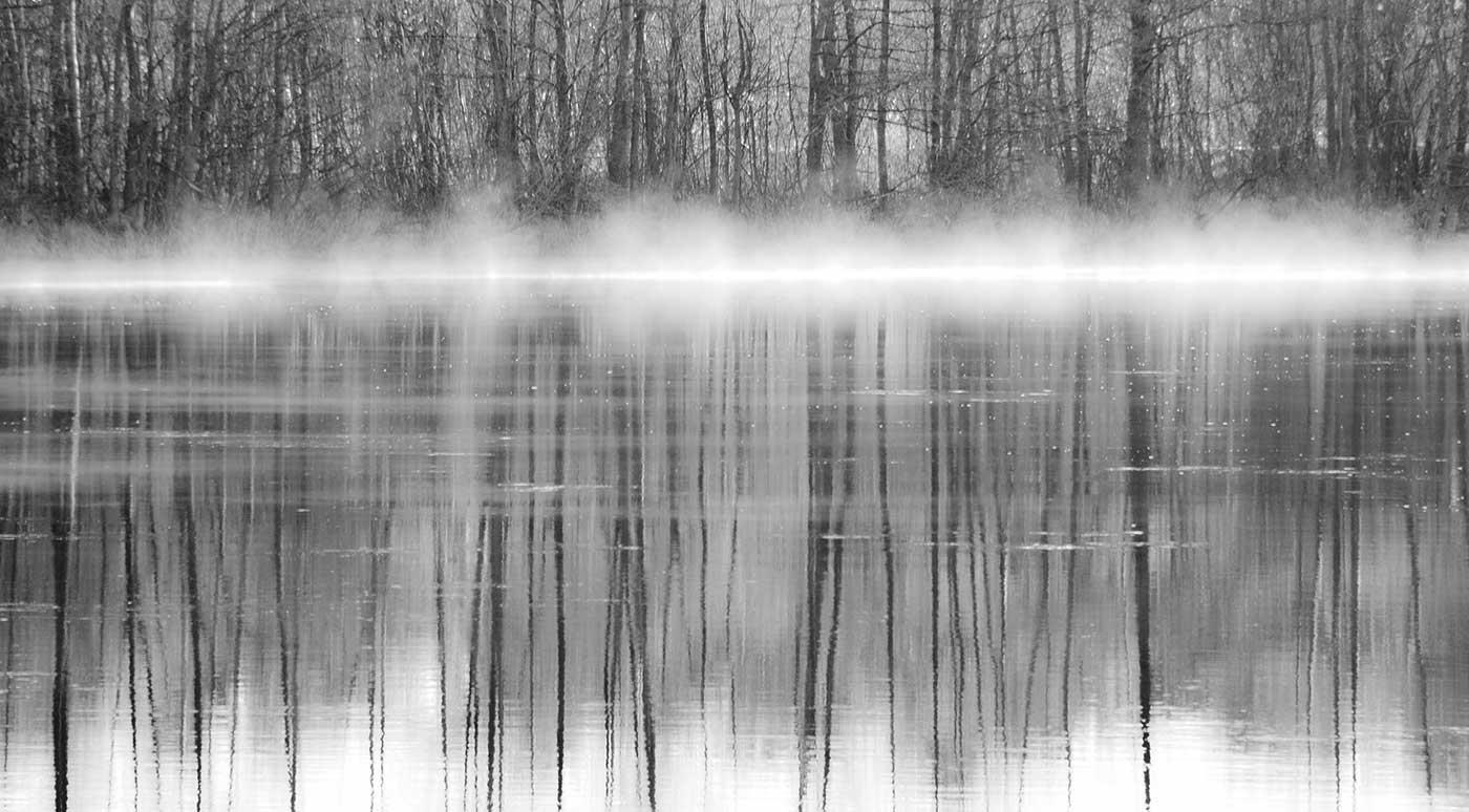 Trees Reflections in Water as Art Print