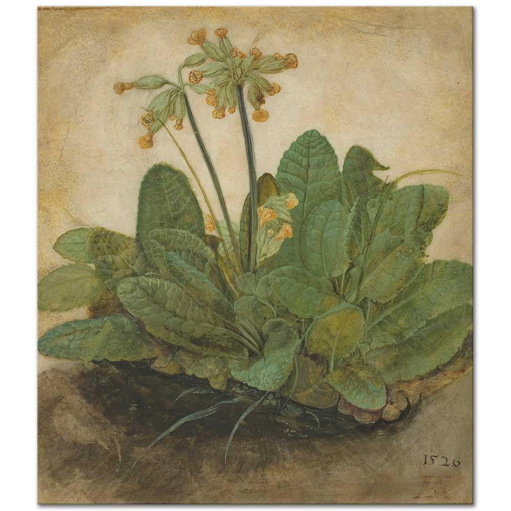 Albrecht Dürer Yabani Çuha Demeti Kanvas Tablo