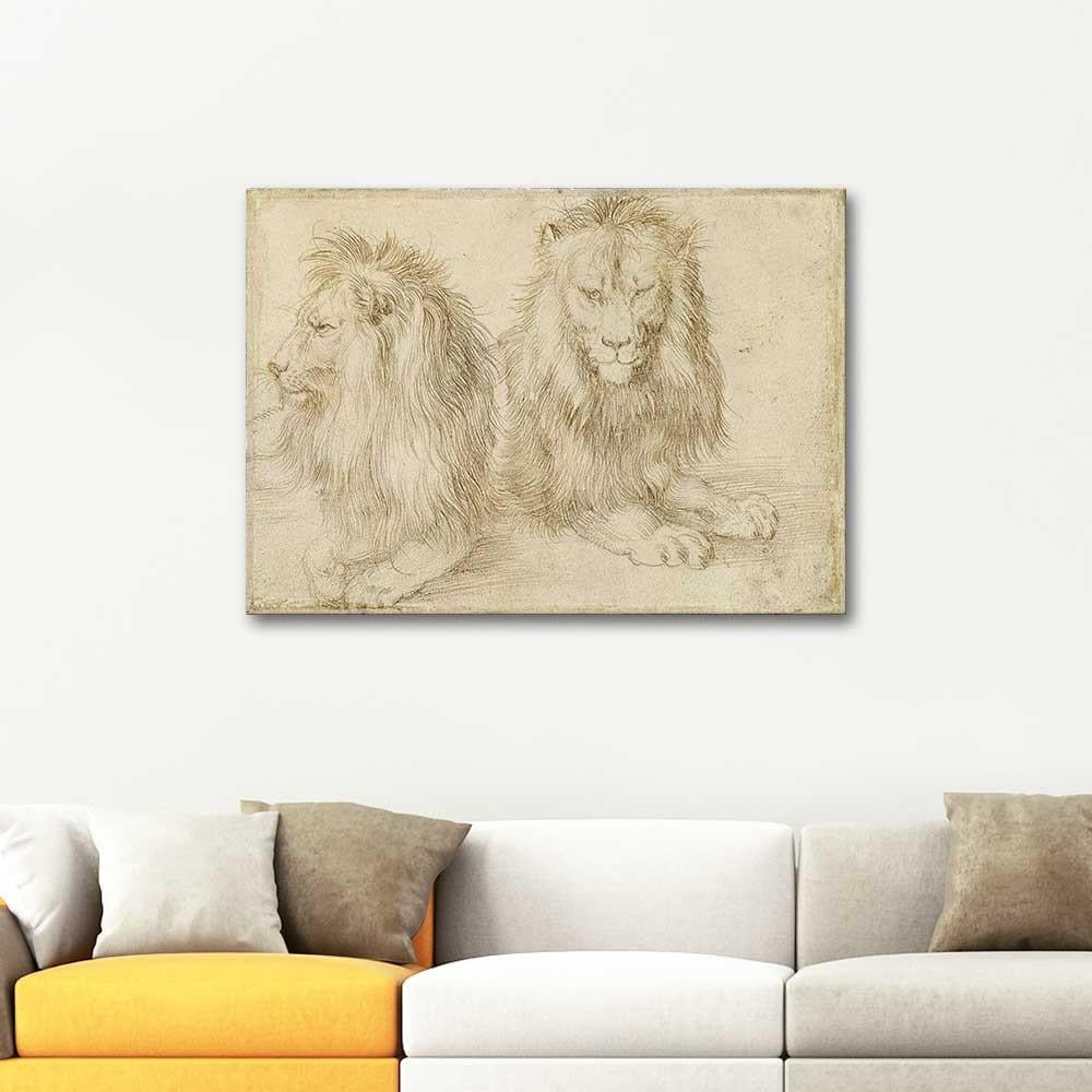 Two Seated Lions by Albrecht Dürer as Art Print