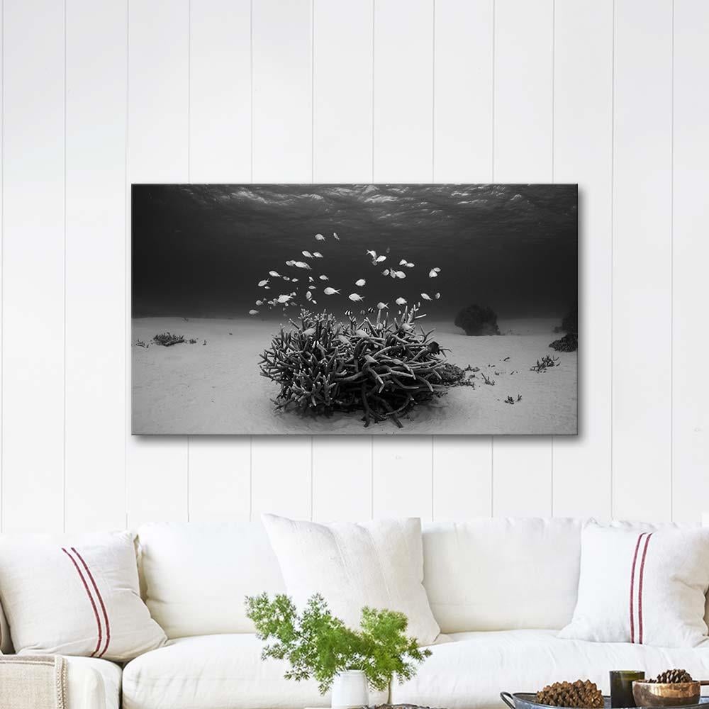 Deniz Dibi Kanvas Tablo