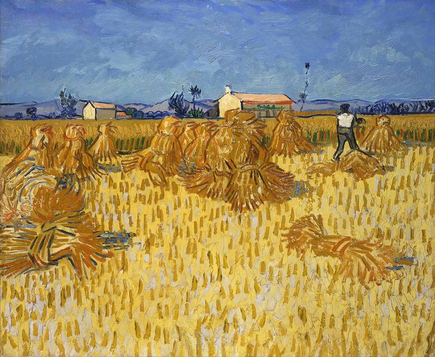 Vincent van Gogh Provence'te Hasat Kanvas Tablo