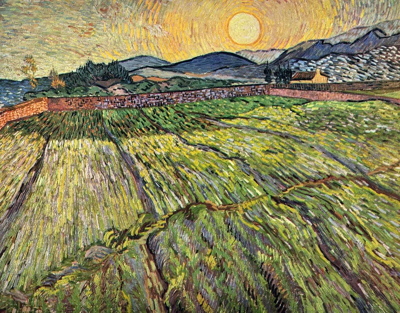 Vincent van Gogh Çiçeklenmiş Tarlalar Kanvas Tablo