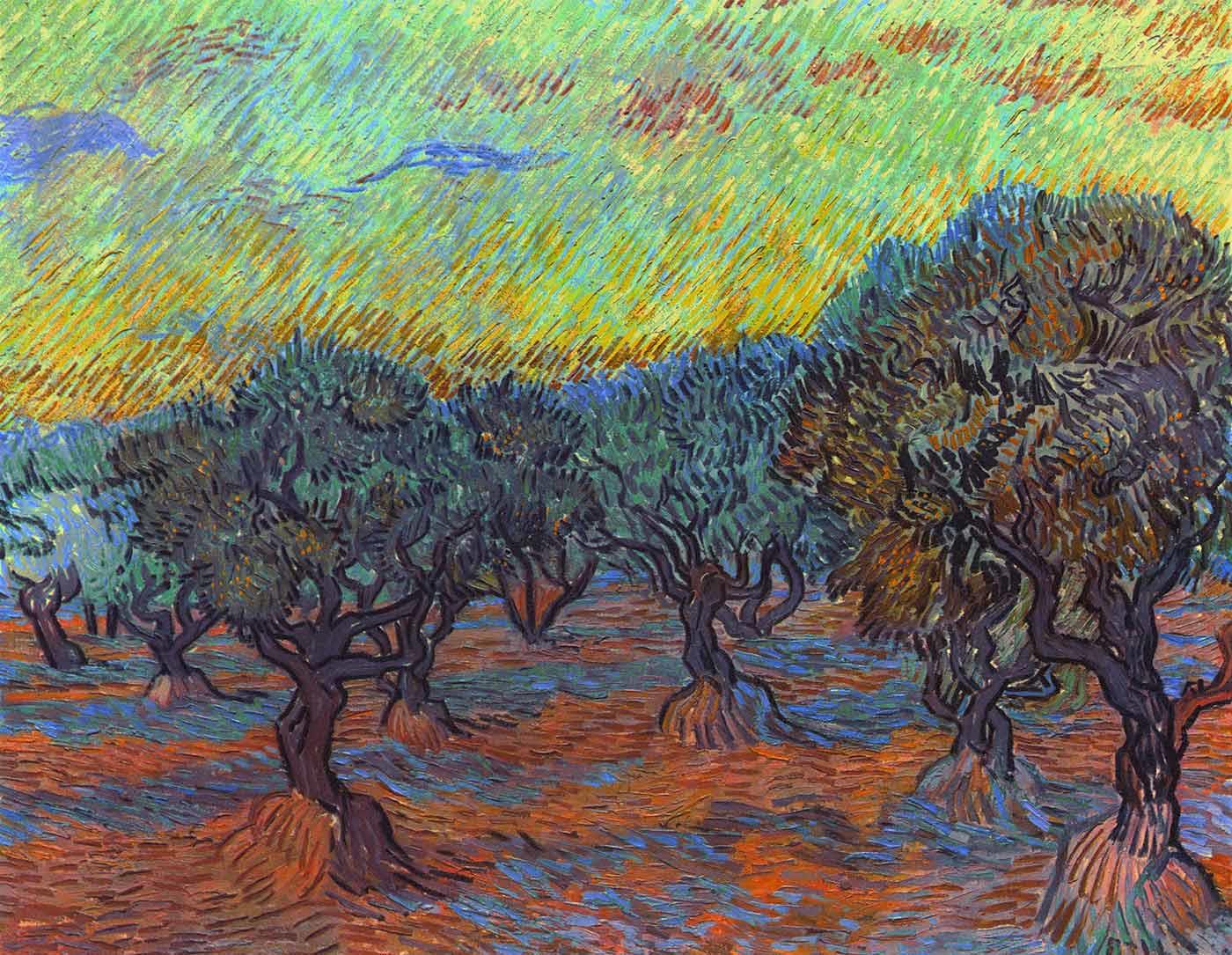 Olive Bosquet by Vincent van Gogh