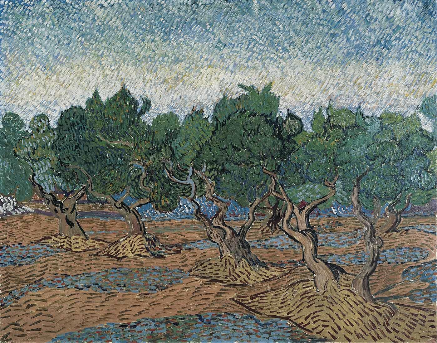 Olive Grove Landscape by Vincent van Gogh