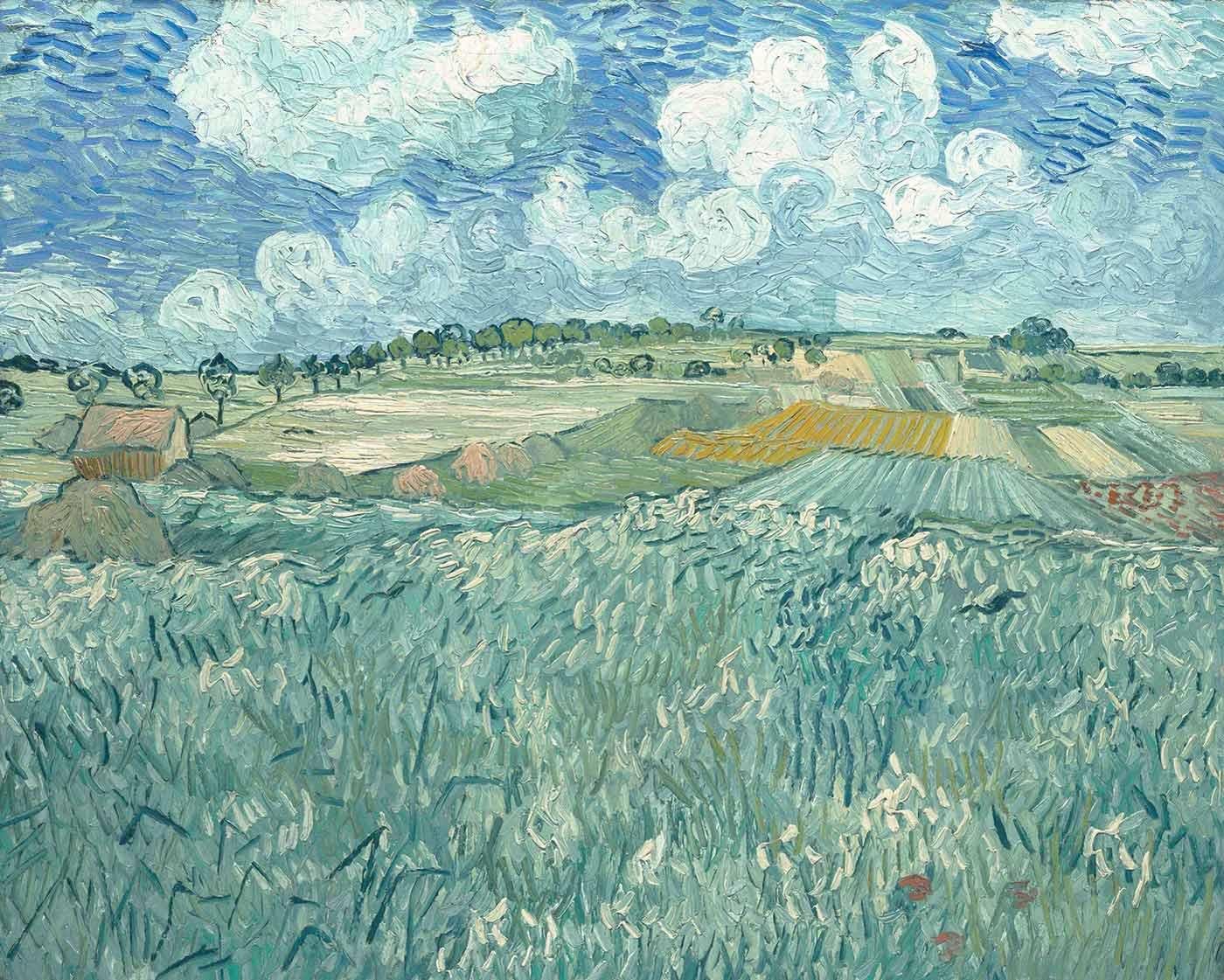 Vincent van Gogh Auvers'te Çayırlık Kanvas Tablo