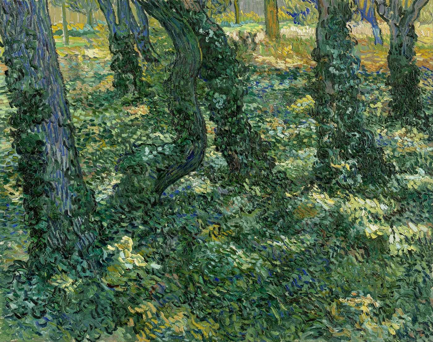 Vincent van Gogh Orman Zemininde Çalılık Kanvas Tablo