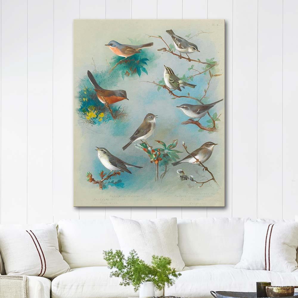 Warbler and Wrens by Archibald Thorburn as Art Print