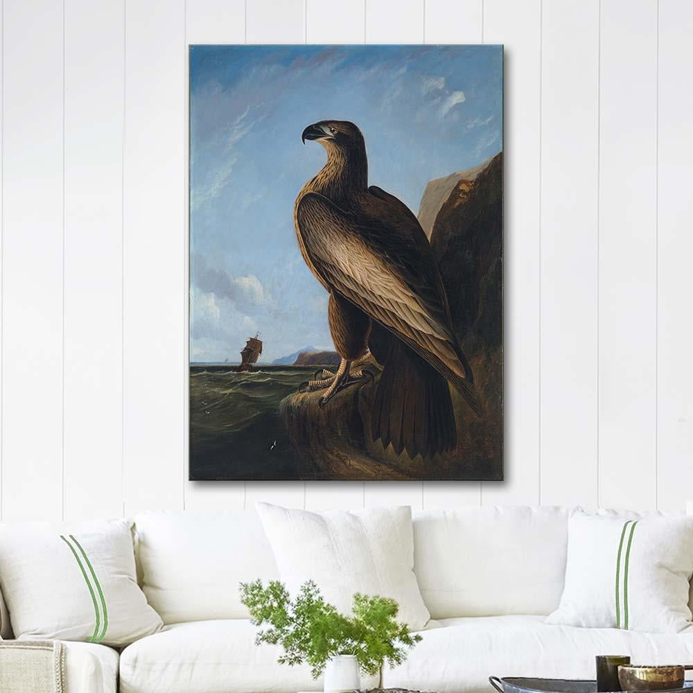 Washington Sea Eagle by John James Audubon as Art Print
