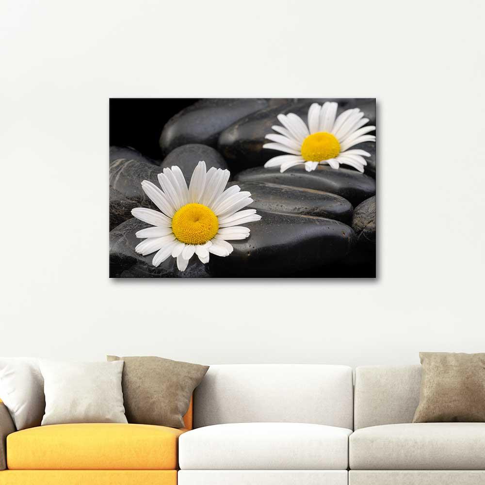 White Daisy Composition as Art Print