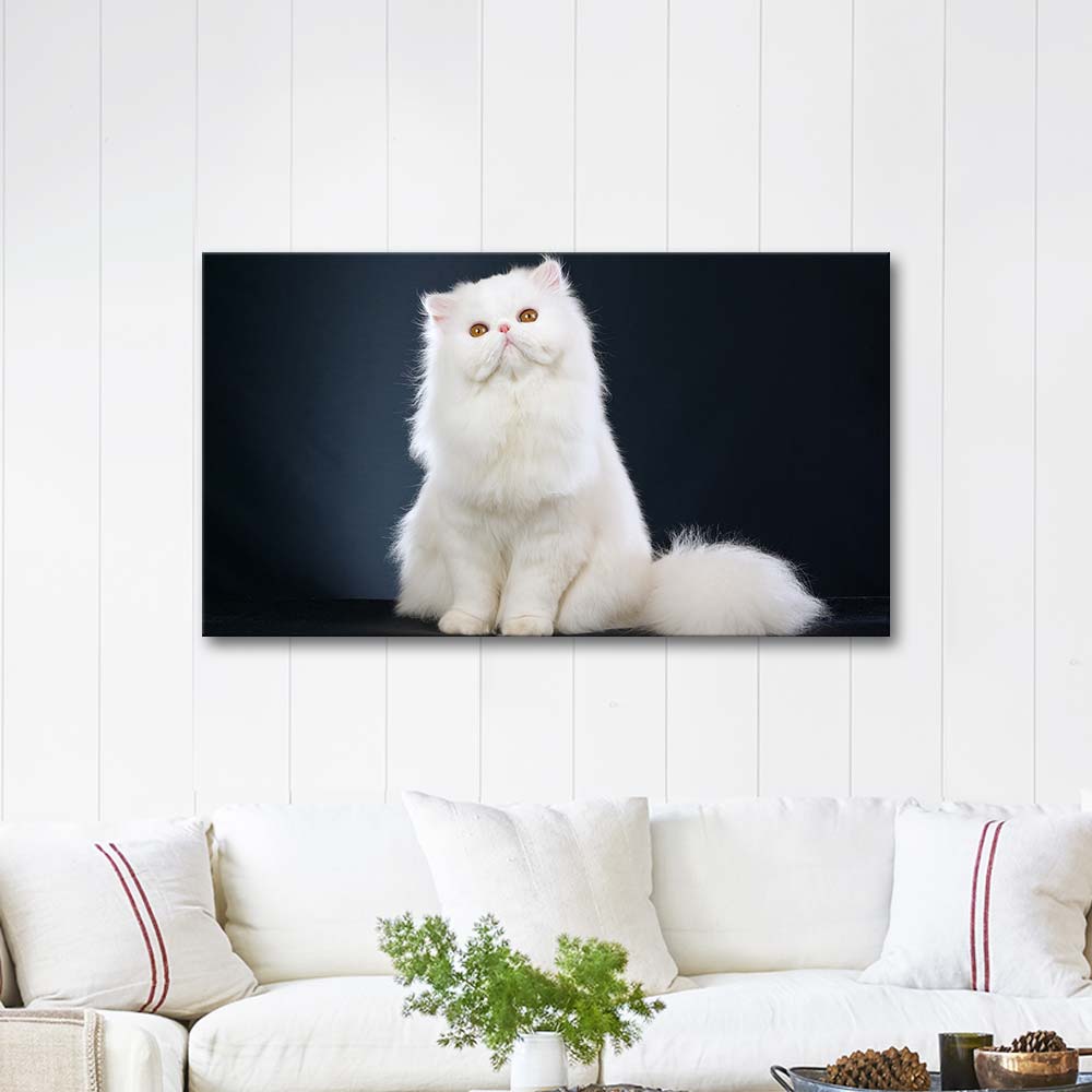 White Fluffy Cat Art Print