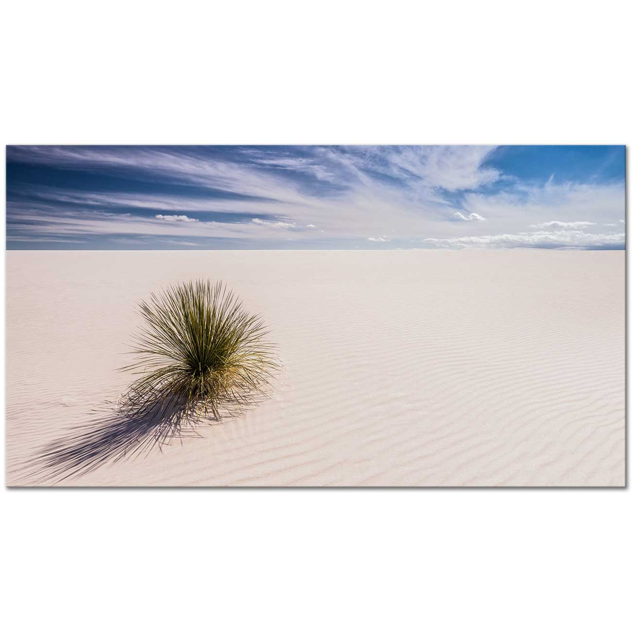 White Sands New Mexico Art Print