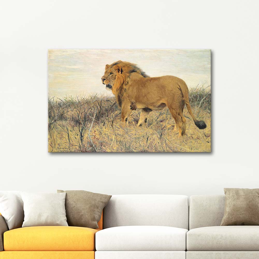 Wilhelm Kuhnert A Lion Art Print