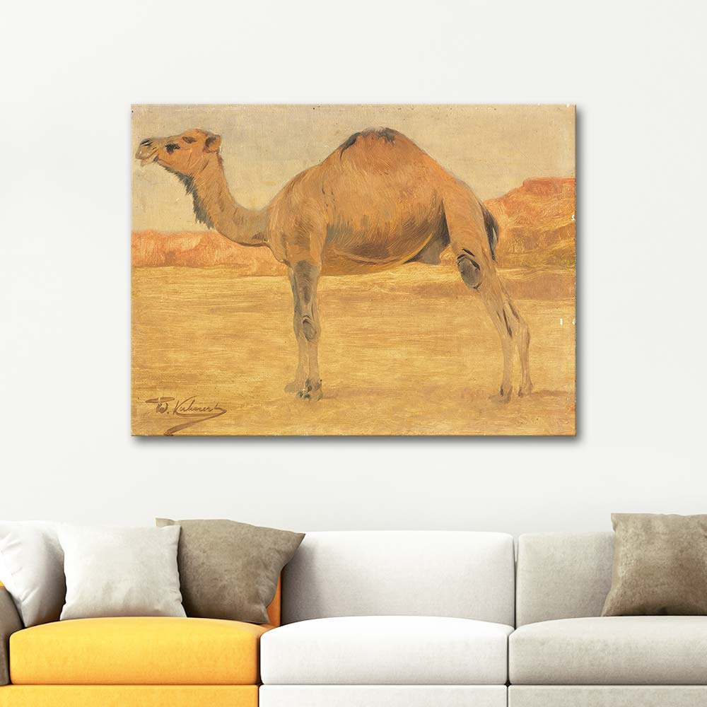 Wilhelm Kuhnert Dromedary Art Print