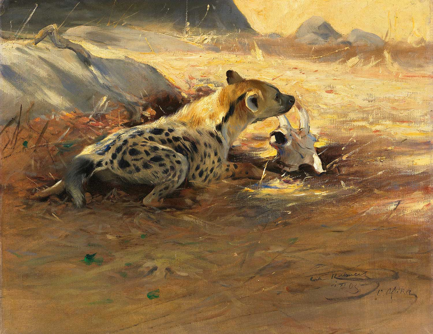 Wilhelm Kuhnert Hyena Art Print