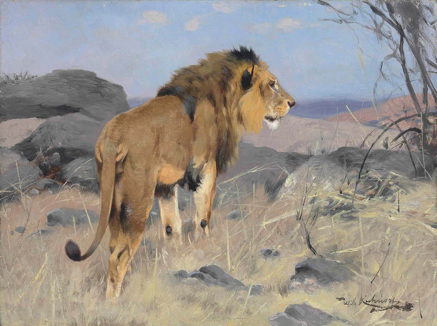 Wilhelm Kuhnert The Lion Art Print
