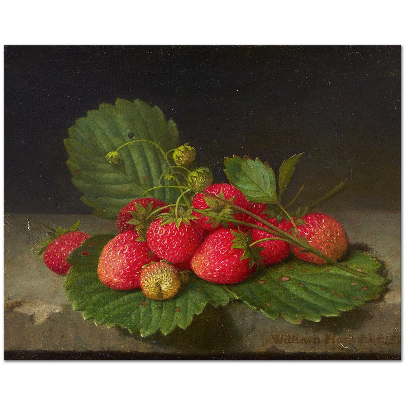 William Hammer Still Life with Strawberries Art Print