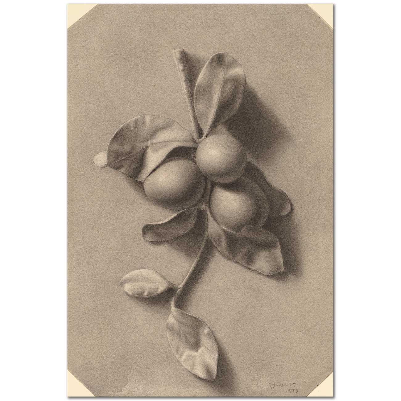 A Sprig Of Plums by William Michael Harnett