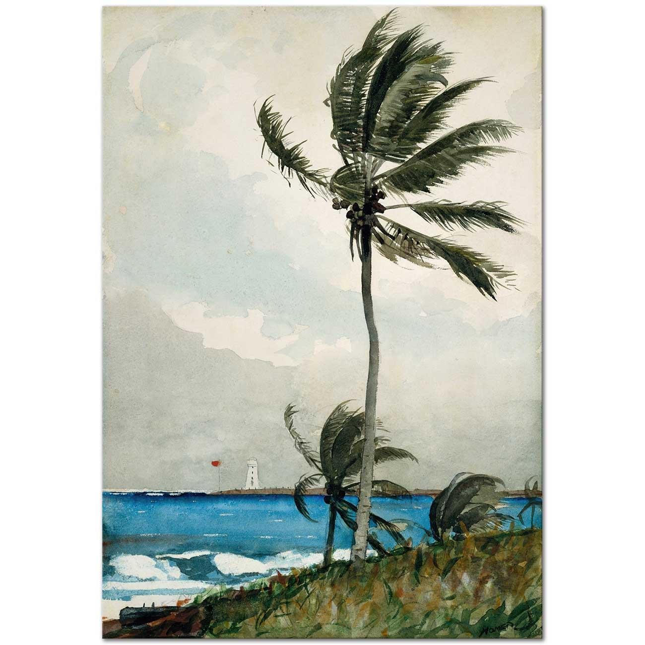 Palm Tree Nassau by Winslow Homer