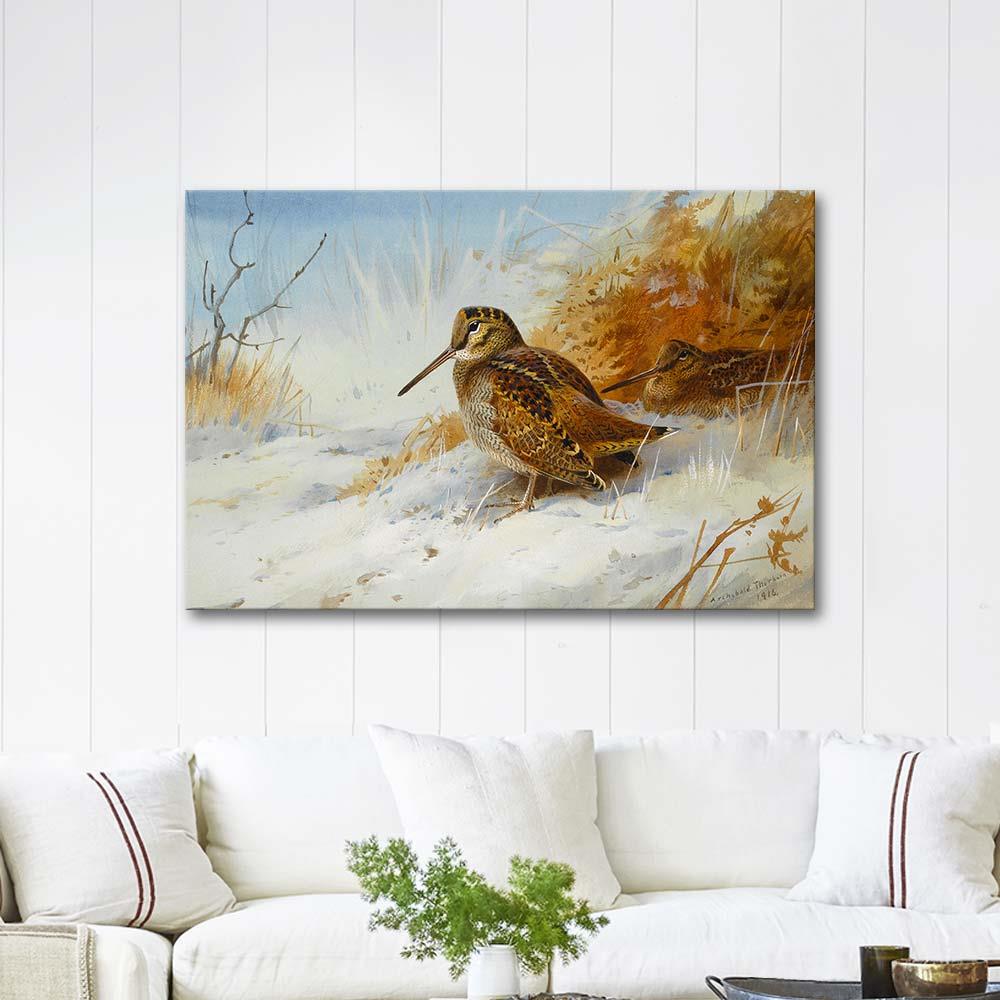 Winter Woodcock by Archibald Thorburn as Art Print