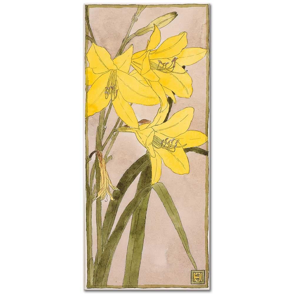 Yellow Daylily by Hannah Borger Overbeck