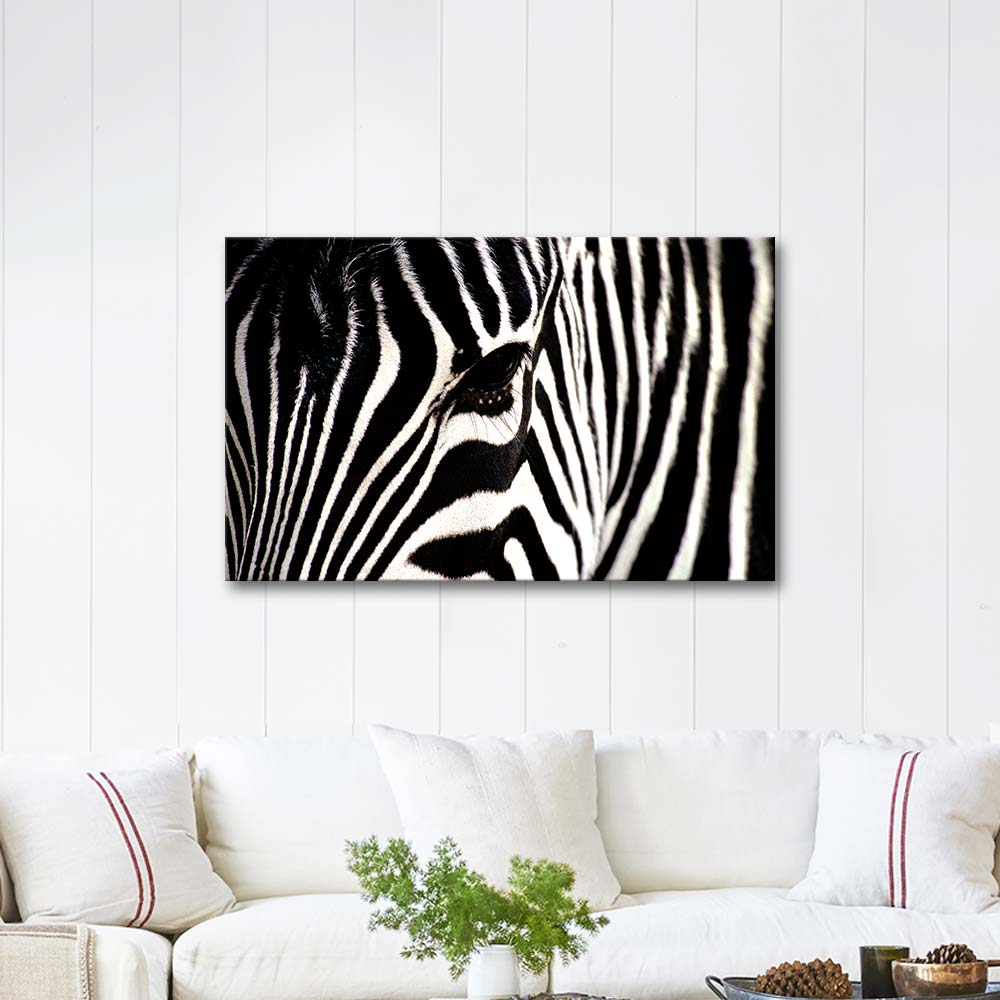 Zebra Elegance Art Print