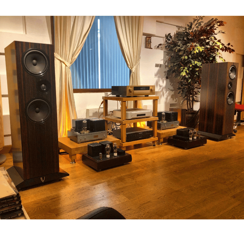 AirTight 2211 Lambalı Mono Güç Amplifikatörü