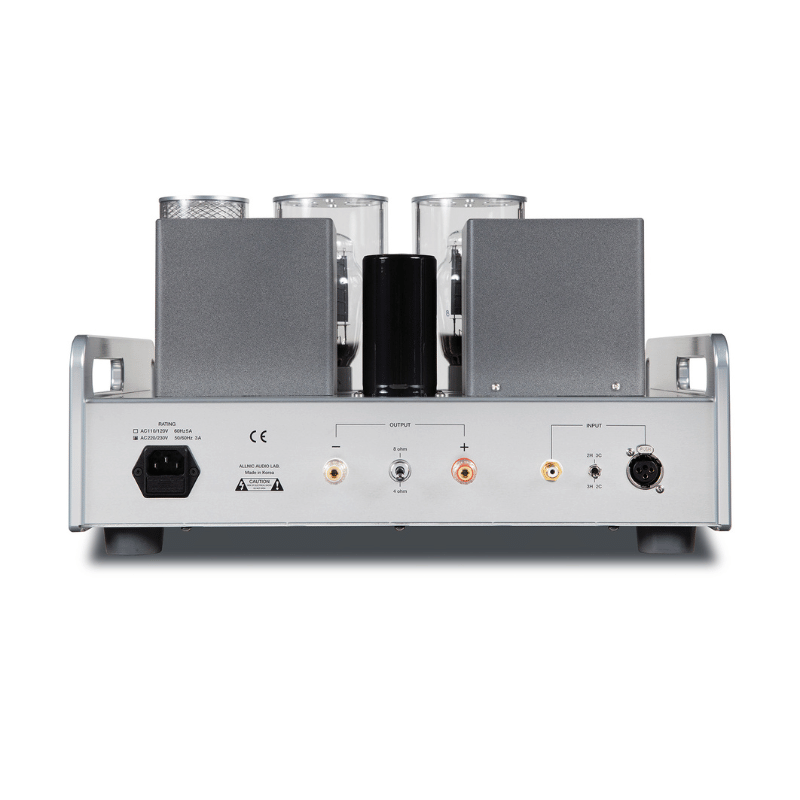 Allnic Audio A 311M Lambalı Mono Güç amplifikatörü