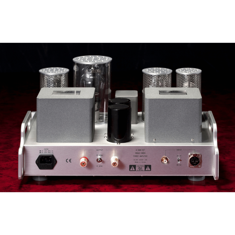 Allnic Audio A 5000 DHT Lambalı Mono Güç Amplifikatörü