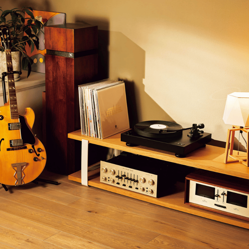 Audio Technica AT LP8X Direct Drive Pikap