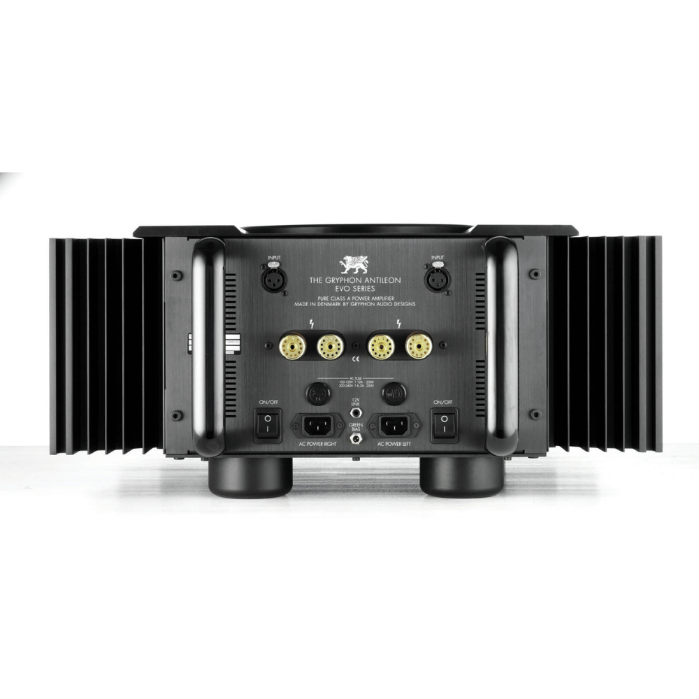 Gryphon Antileon EVO Mono Güç amplifikatörü