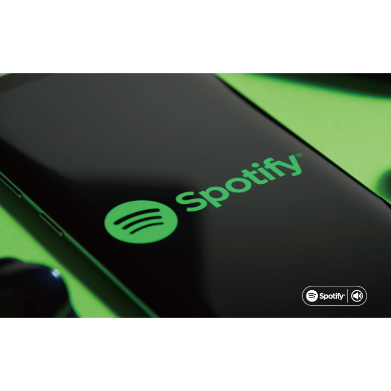 Ieast AMP80 Network Özellikli Amplifikatör