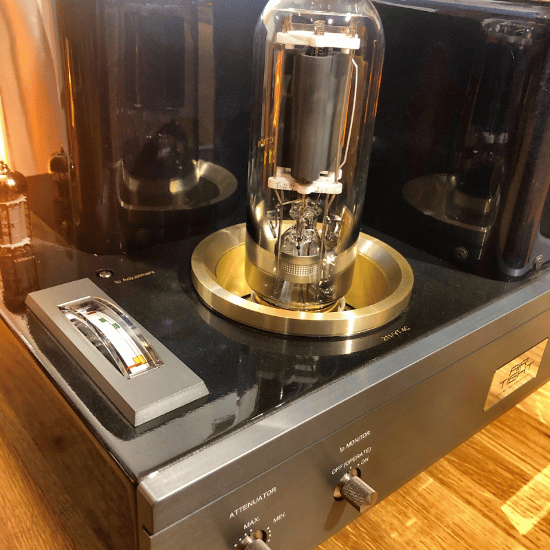 Living Voice R80 Kule Hoparlör