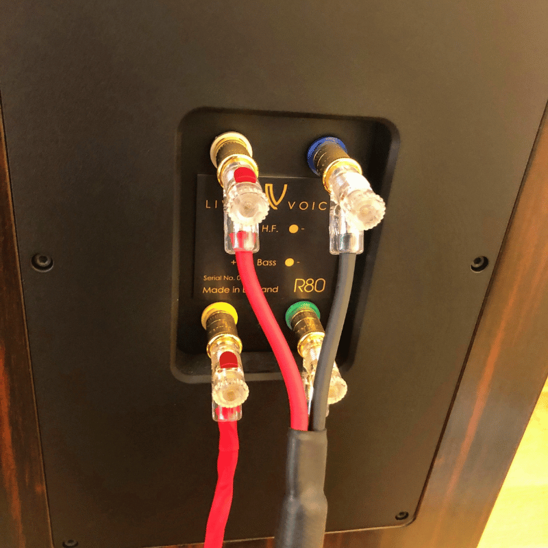 Living Voice R80 Kule Hoparlör