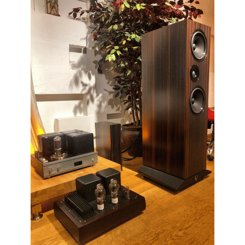 Living Voice R80 Kule Hoparlör