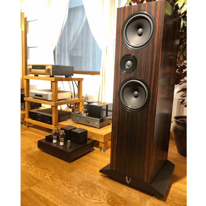 Living Voice R80 Kule Hoparlör