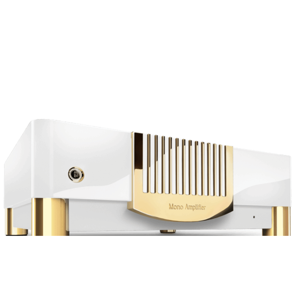 MBL N15 Mono Güç Amplifikatörü Adet Fiyatıdır