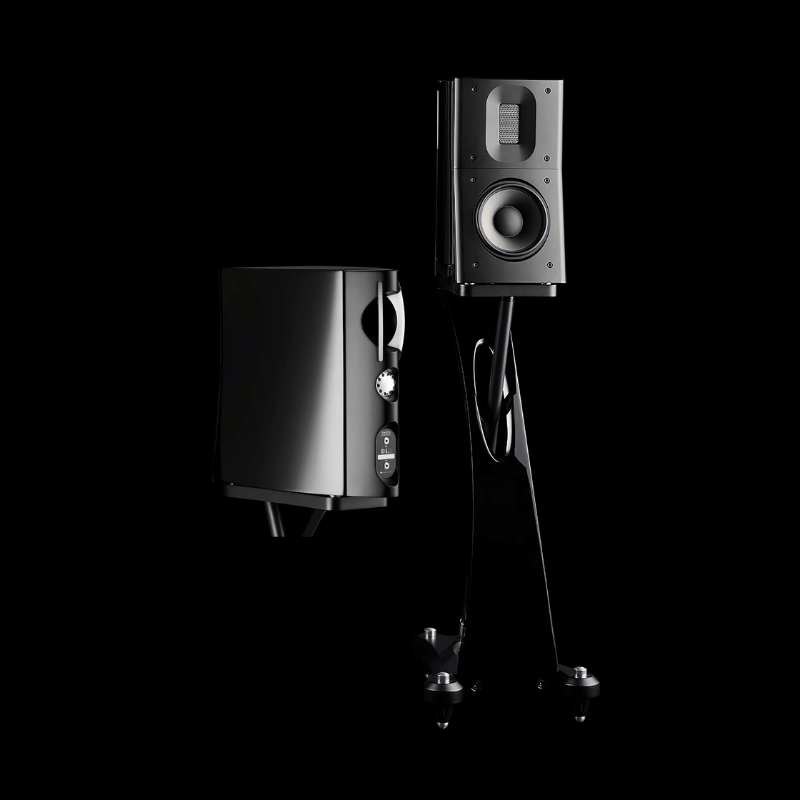 Raidho TD1.2 Raf Tipi Hoparlör