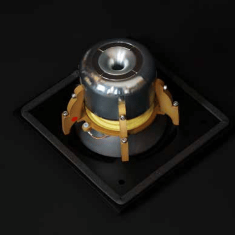 Raidho TD1.2 Raf Tipi Hoparlör