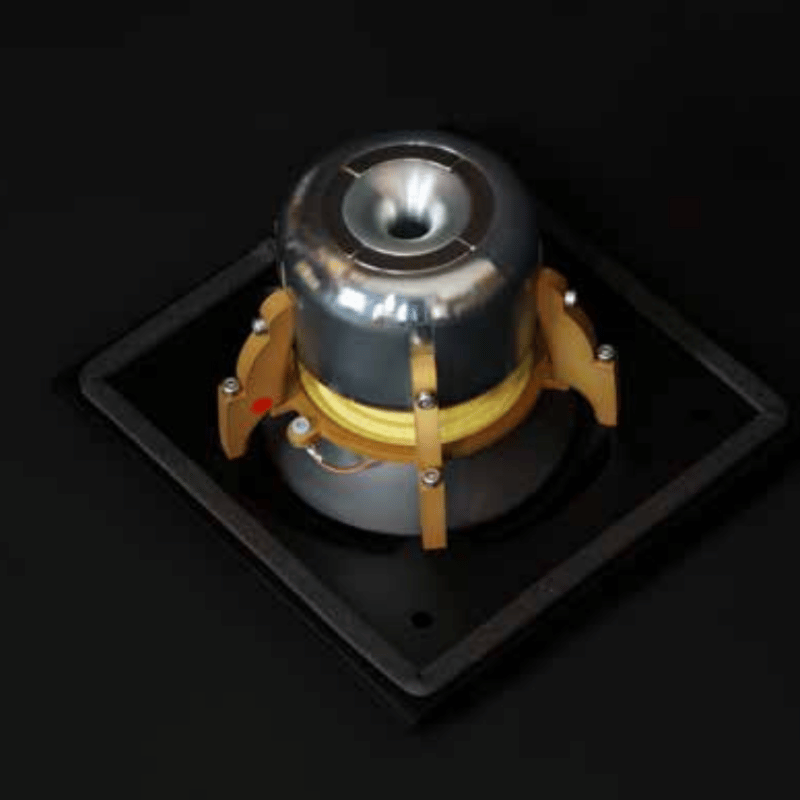 Raidho TD2.2 Kule Hoparlör